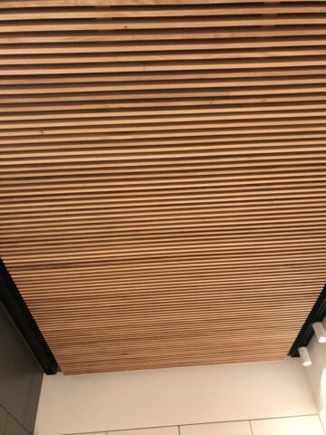 photo 12 2026 02 17 14 14 47